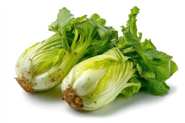Fresh Bok Choy: Vibrant Green Leaves, Crisp Texture, Natural Still Life