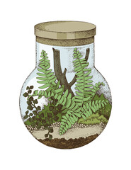Hand drawn florarium vector illustration