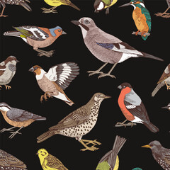 Hand drawn seamless pattern with woodland birds