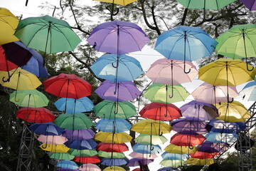 Obraz premium Lots of umbrellas and beautiful colors. Decorate the place