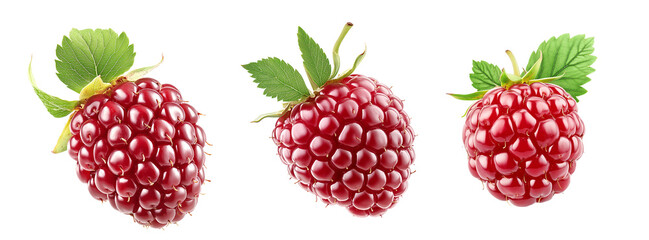 Set of fresh ripe raspberry with green leaves, vibrant color and juicy textures, perfect for culinary creations.
