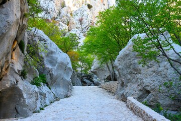 Footpath leading past boulders and trees in a gorge at Paklenica national park, Croatia
