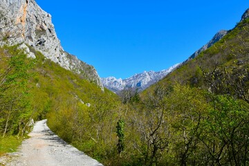 Fototapeta premium Hiking trail leading through a valley at Paklenica national park in Croatia with mountain peaks in the distance