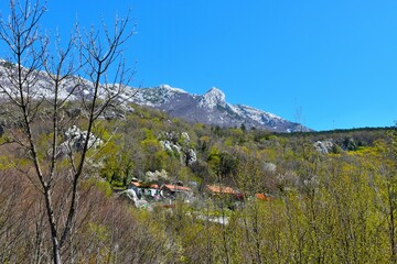 Houses in forest in spring bellow the mountain peak in Paklenica national park, Croatia