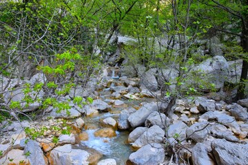Beautiful creek and spring foliage in Paklenica national park, Croatia