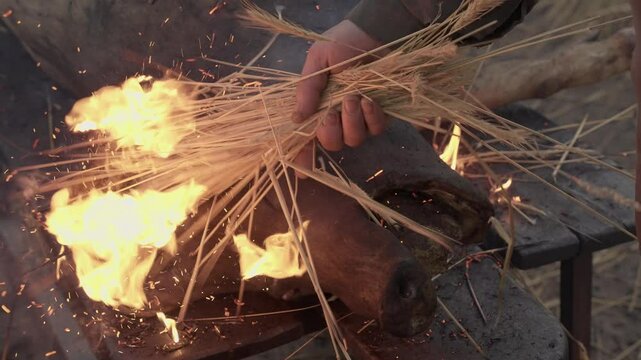 Straw fire burns pig snout during butchering tradition in Minho north Portugal - slow motion
