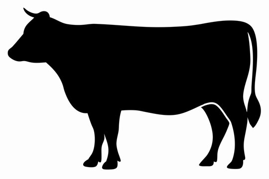 A Black and white cow silhouette drawn in black on a white background