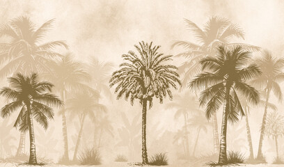 palm trees on the background of the sky