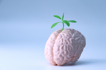 Green leaves sprouting from a brain. Concept of intellectual growth, human potential, mental health and well-being, connection between mind and nature.