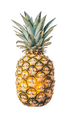 Fototapeta premium Ripe pineapple with spiky leaves on black background, cut out - stock png.