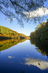 Obraz premium Landscape at the Seehofweiher pond in the Porzbach Valley. Waters along the Porzbach stream in the forest. Autumnal nature at the bathing lake. 