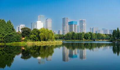 Serene Urban Oasis: A Stunning Reflection of City Life on Quiet Waters