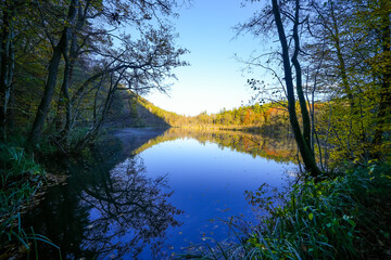 Landscape at the Seehofweiher pond in the Porzbach Valley. Waters along the Porzbach stream in the forest. Autumnal nature at the bathing lake.
