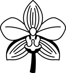 black and white illustration of Thai orchid