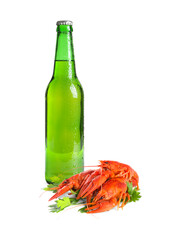 Fresh beer in bottle, cooked crayfishes and parsley on white background. Tasty snack for drink