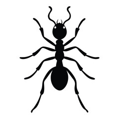 Vector isolated ant crawling silhouette set collection.