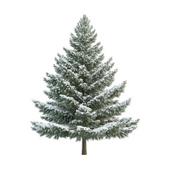 Fototapeta premium Snow-covered evergreen tree standing tall in a winter landscape during a serene afternoon