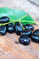 Jambolan plum, Java plum, Jambul( Syzygium cumini (L.) Skeels. on wooden background