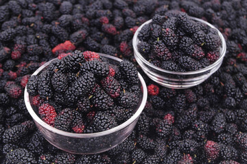 Close up of two bowls with ripe mulberry berries on mulberry background.