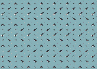 pattern of orca