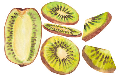 Fototapeta premium Watercolor set of half, slice and piece of kiwi isolated on a white background. Hand drawn watercolor kiwi with seeds, bright green fruit with brown peel. Collection of flying fruits