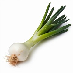 The image depicts a realistic fresh spring onion with a white bulb and long green stalks, surrounded by a white background, high detail, and natural lighting.