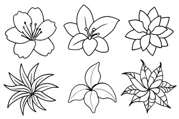 Tropic flowers beauty found in paradise line art