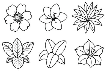 Tropic flowers alive with vivid colors line art