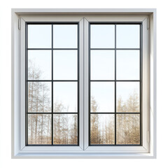 closed mirror window in the white wall