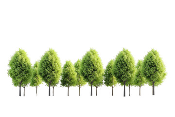 green tree on white background