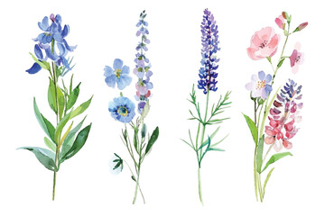 Fototapeta premium Adobe Illustrator Artwork