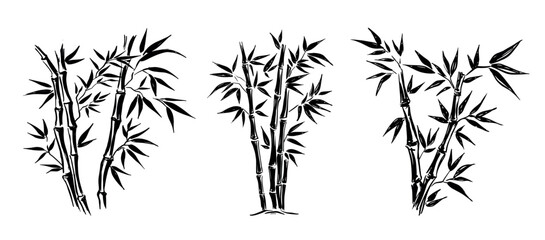 Bamboo tree on white, Hand drawn style.	
