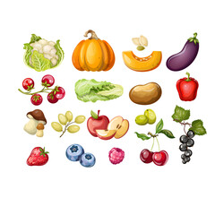Set vegetables fruits mushrooms berries