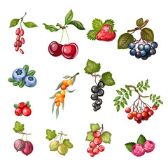 Set of berries