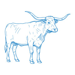 Minimal Hand Drawn Texas Longhorn Cow Side View