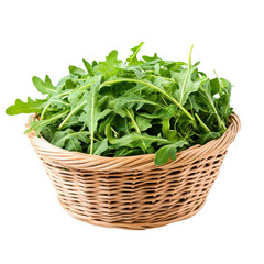 Naklejka premium Freshly harvested arugula in a woven basket ready for culinary use or distribution at a local market