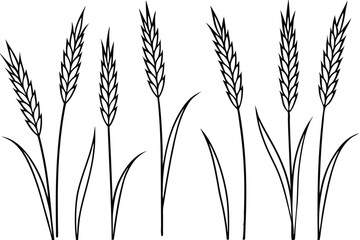 Timothy grass habitat facts and care tips line art