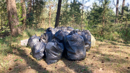 Pile of black garbage bags in forest, emphasizing environmental pollution and the issue of...