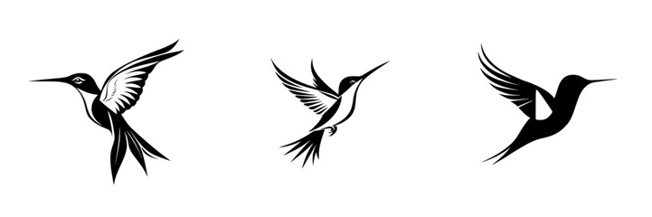 Obraz premium Set of three black icons depicting hummingbirds in various flying poses and styles suitable for graphic design and illustration