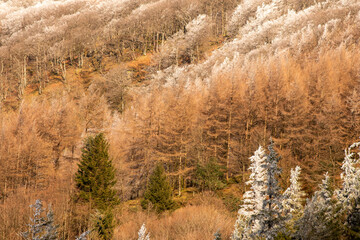 Landschaft am Ibaneta- Pass am Jacobsweg