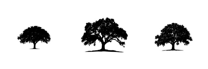 Black silhouettes of trees displayed in three distinct sizes on a white background showcasing natural beauty in simplicity