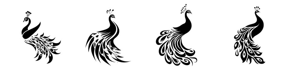 Obraz premium Elegant set of black peacock icons showcasing graceful designs and intricate feather patterns for graphic use