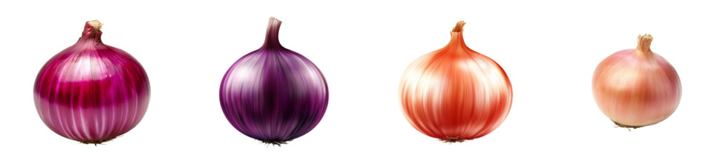 Assorted onions, red, purple, golden and shallot onions, cut out transparent