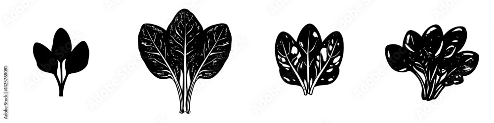 Poster collection of black icons representing various types of leafy greens and their distinct shapes and s