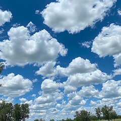 Sunny Sky, Fluffy Clouds, Trees