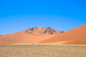 Panoramic view. Sossusvlei in the Namib Desert is surrounded by the highest dunes in the world. It lies in the middle of the world's oldest desert in Namibia. Namib-Naukluft Park, Namibia, Africa.