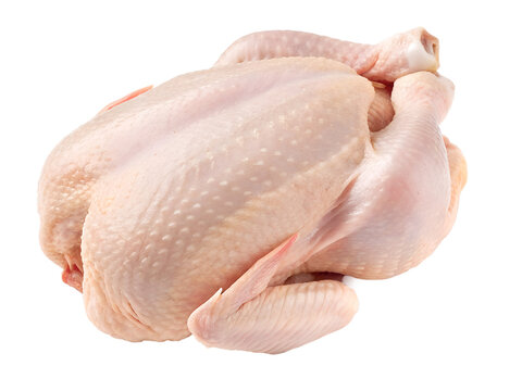 Fresh raw chicken isolated on transparent background