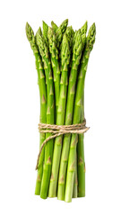 Asparagus bunch tied with jute rope isolated on transparent background