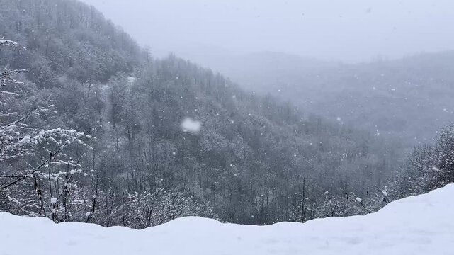 snow covered forest hills mountain landscape hyrcanian iran winter season extreme freezing cold highlands countryside beautiful day frost gilan hiking rural nature parrotia persica scenic tree nature