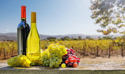 Fototapeta premium Red and white wine bottles with a grape basket, set against a picturesque vineyard landscape